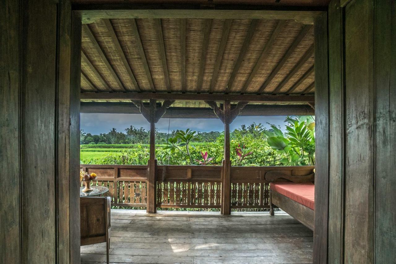 Malaya Villas Ubud Tegallalang  Exterior photo